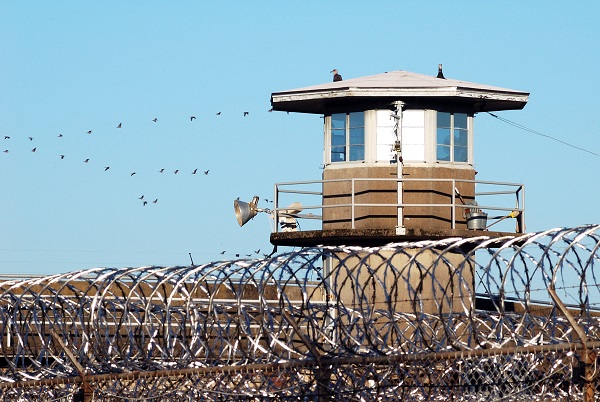 prison fence photo