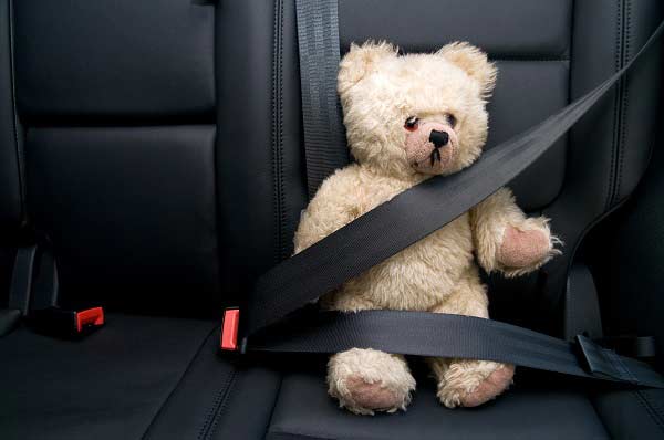 teddy bear with seat belt