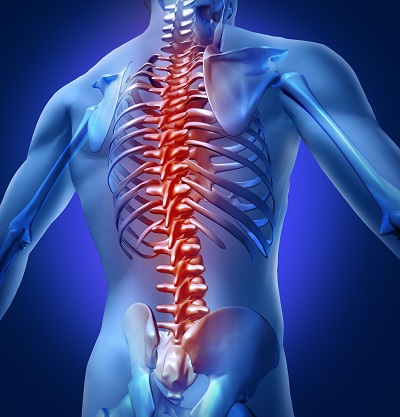 back and spinal cord injuries illustration